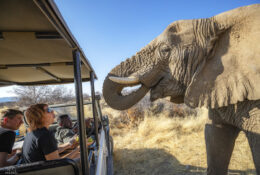 Namibia_August (37/135)